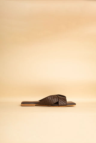 Aster Brown Flats